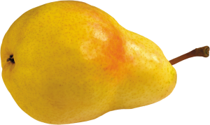 Pear PNG image-3444